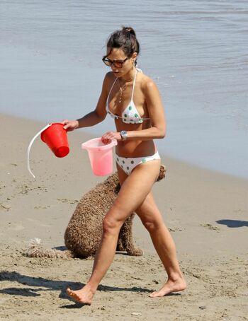 Jordana Brewster
