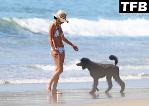 Jordana Brewster