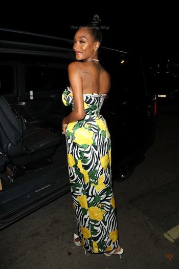 Jourdan Dunn