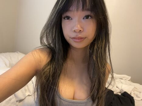 kappahahaya