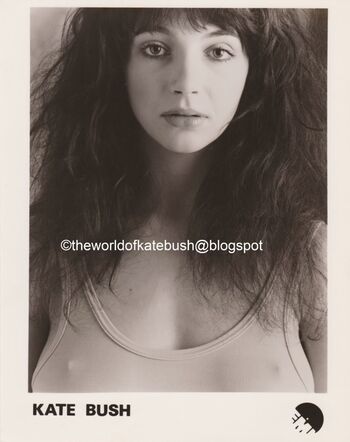 Kate Bush