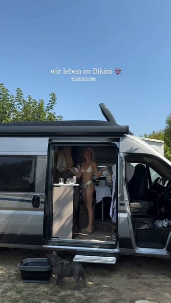 Katrin Palme