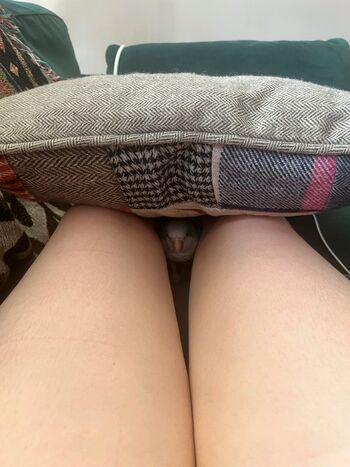 kvwviiju