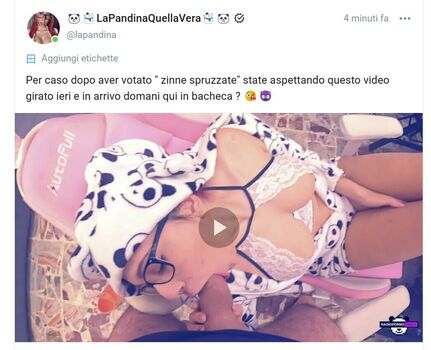 lapandinafree