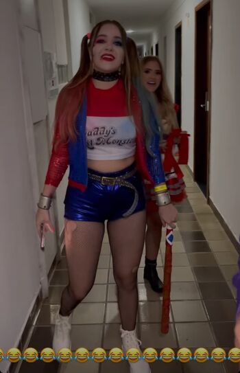 Laurinhafeer