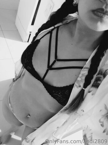 laveci28