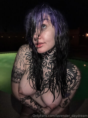 Lavender Daydream