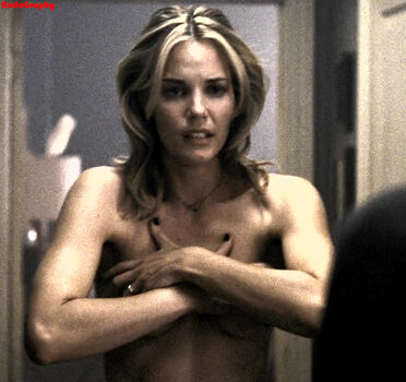 Leslie Bibb