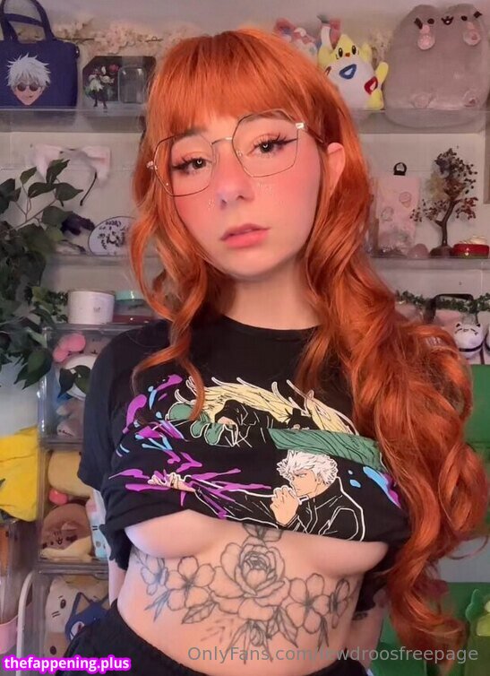 lewdroosfreepage