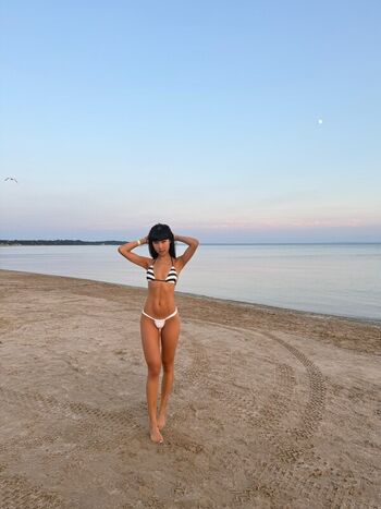 Lisha Li