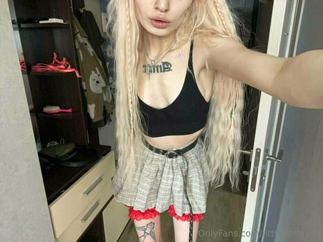 littleharley_q