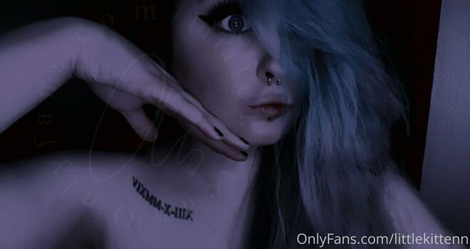 littlekittenn