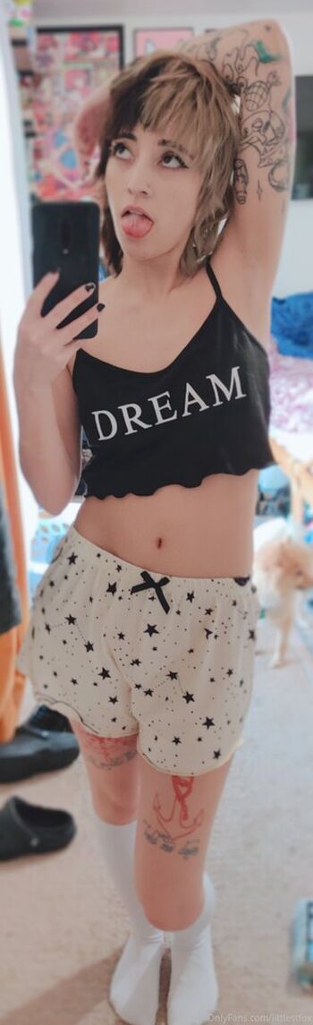 littlestfox