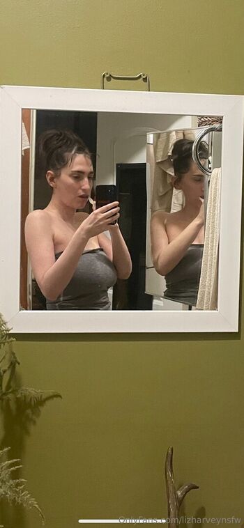 lizharveynsfw