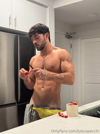 luiscapecchi