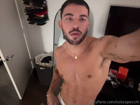 luiscapecchi
