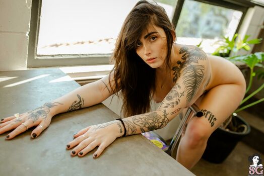 Luluvalotta