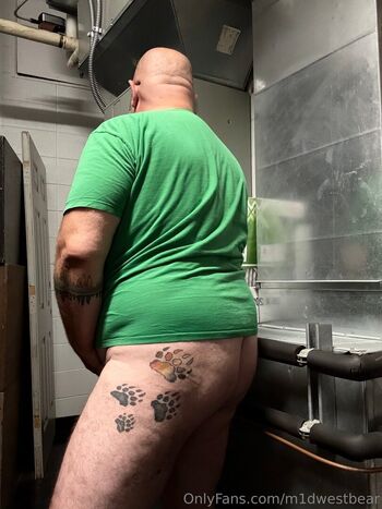 m1dwestbear
