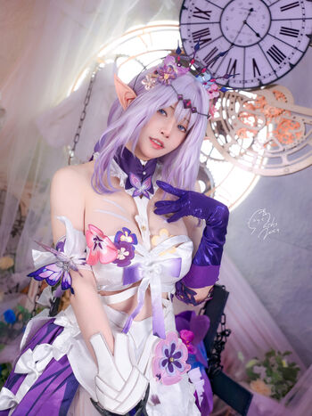 MACHI Collection