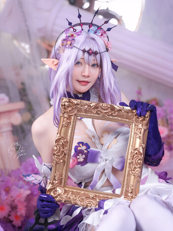 MACHI Collection