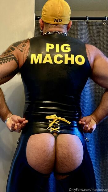 machopup
