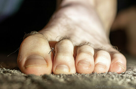 macrocole