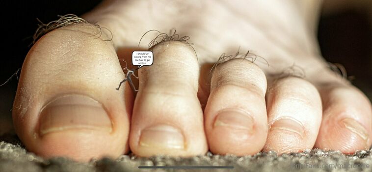 macrocole