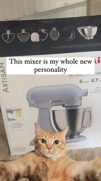 Maimy Nyan