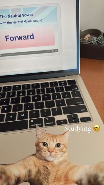 Maimy Nyan