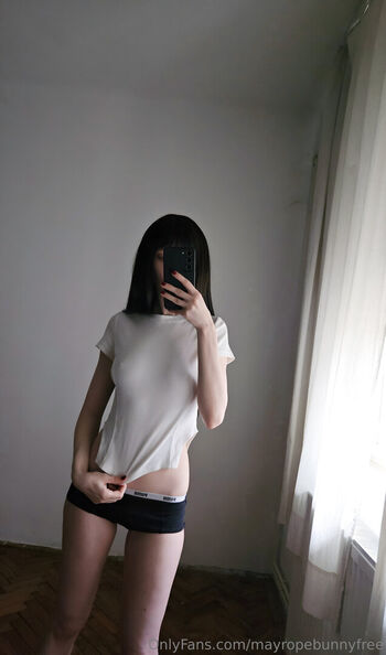 mayropebunnyfree