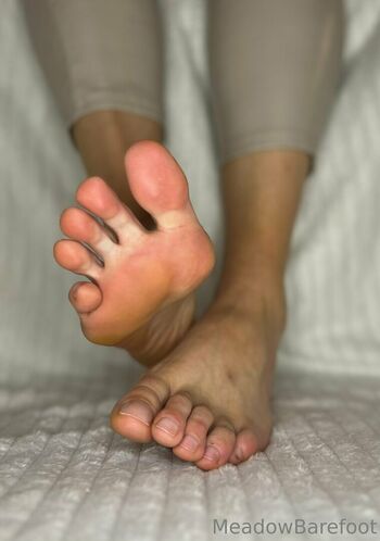 meadowbarefoot