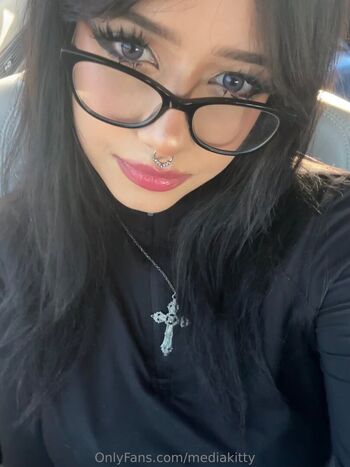 mediakitty_