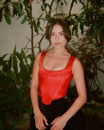 Megan Lawless