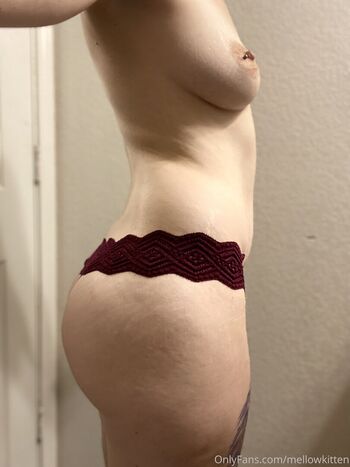 mellowkittenof