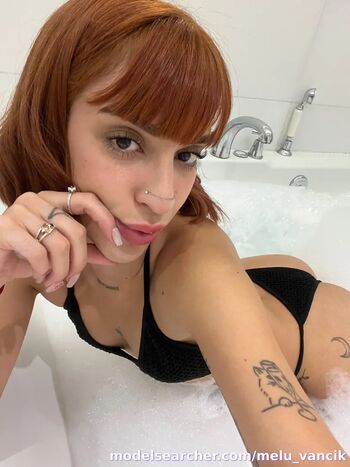 melu_vancik