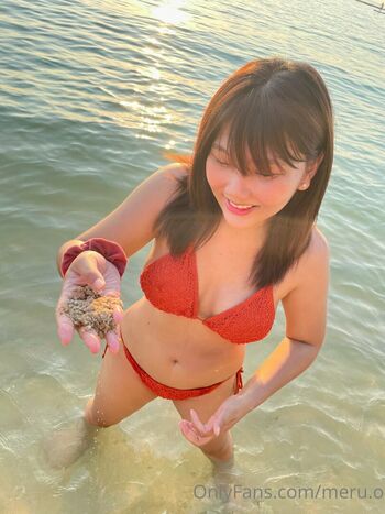 meru.o
