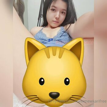 mewmewkarifree