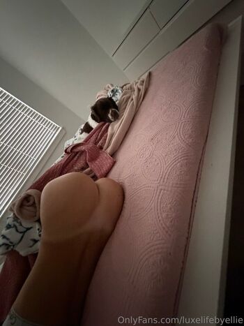 miabrielle31