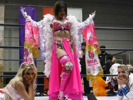 Mina Shirakawa