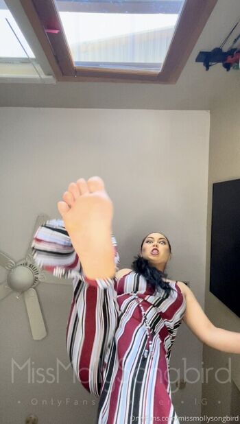 missmollysongbird