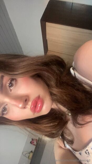 molliesworld