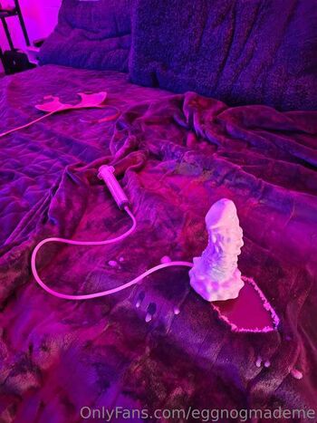 Molly's Secret Vault