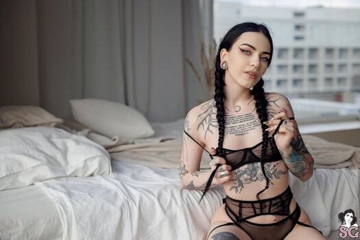Moth SG