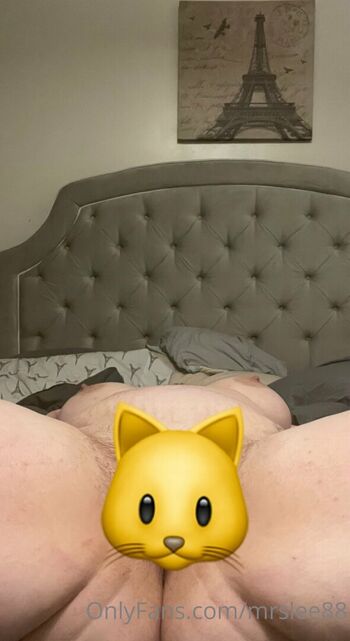 mrslee88