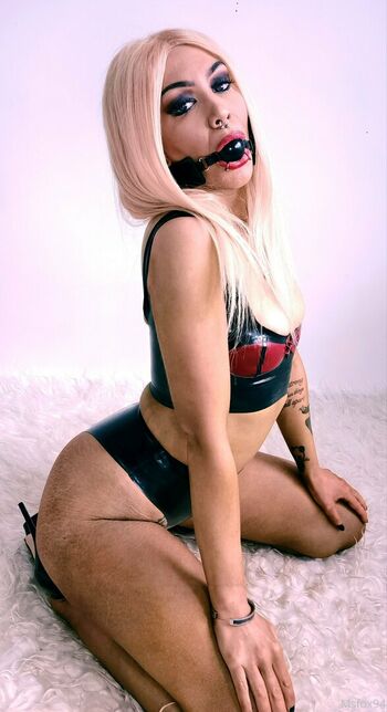 msfox94