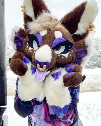 Murrsuit