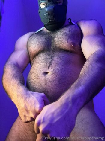 musclepupchamp