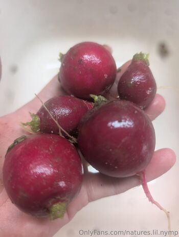 natures.lil.nymp