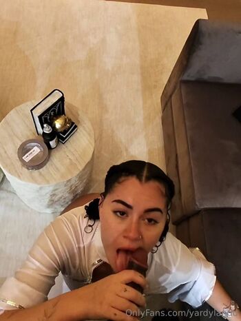 Nickyardy, Yardylandd