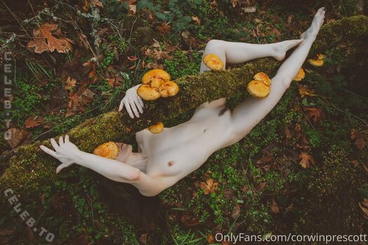 Nicole Vaunt